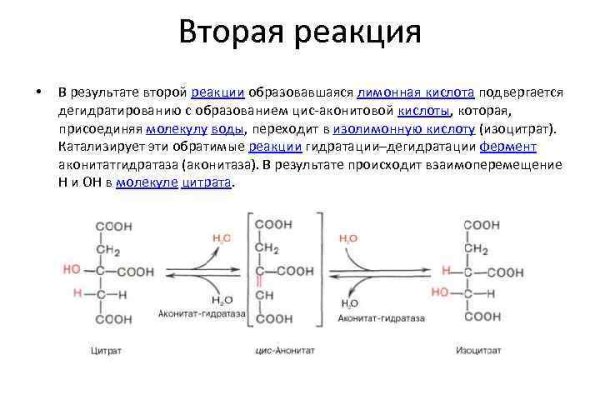 Кракен наркошоп ссылка