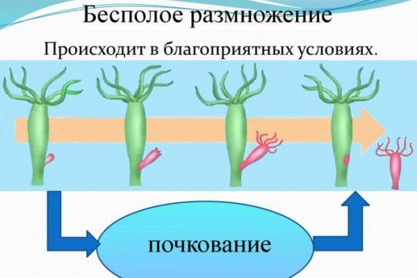 Кракен сайт kr2web in зеркало рабочее